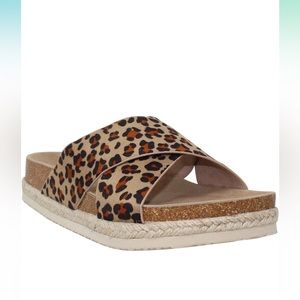 Sobeyo platform slides size 6